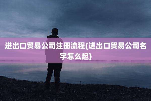 进出口贸易公司注册流程(进出口贸易公司名字怎么起)