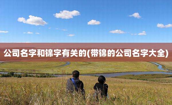 公司名字和锦字有关的(带锦的公司名字大全)