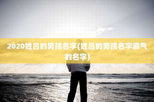 2020姓吕的男孩名字(姓吕的男孩名字霸气的名字)