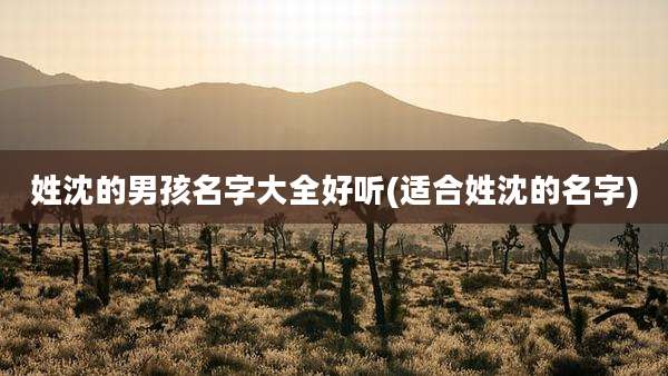 姓沈的男孩名字大全好听(适合姓沈的名字)