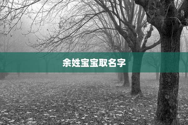 余姓宝宝取名字