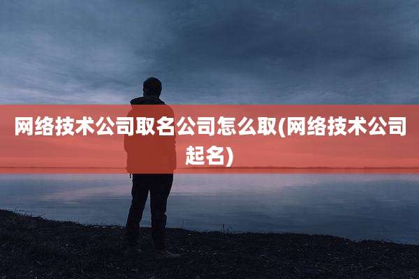 网络技术公司取名公司怎么取(网络技术公司起名)