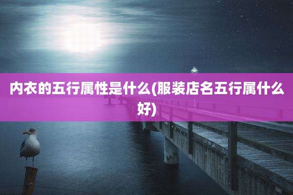 内衣的五行属性是什么(服装店名五行属什么好)