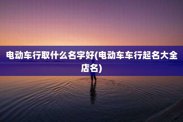 电动车行取什么名字好(电动车车行起名大全店名)