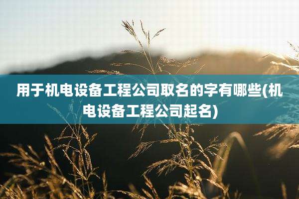 用于机电设备工程公司取名的字有哪些(机电设备工程公司起名)