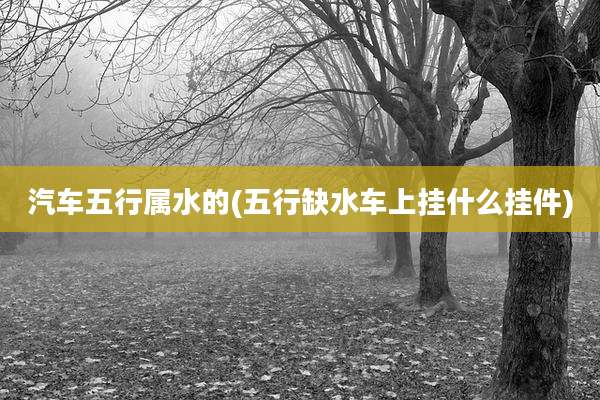 汽车五行属水的(五行缺水车上挂什么挂件)