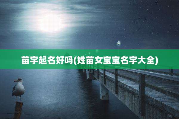 苗字起名好吗(姓苗女宝宝名字大全)