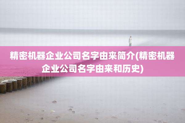 精密机器企业公司名字由来简介(精密机器企业公司名字由来和历史)