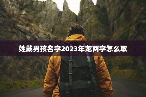 姓戴男孩名字2023年龙两字怎么取