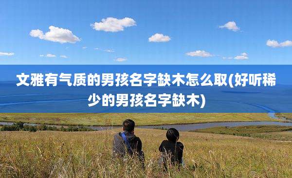 文雅有气质的男孩名字缺木怎么取(好听稀少的男孩名字缺木)