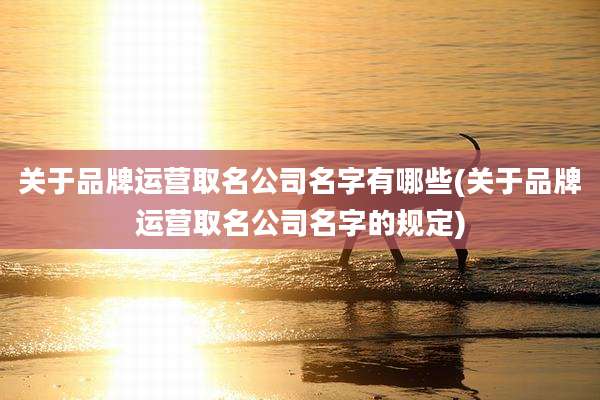 关于品牌运营取名公司名字有哪些(关于品牌运营取名公司名字的规定)