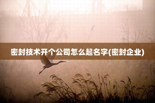 密封技术开个公司怎么起名字(密封企业)