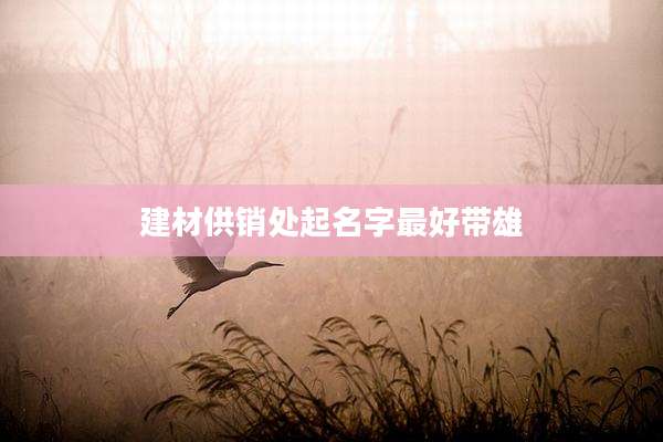 建材供销处起名字最好带雄