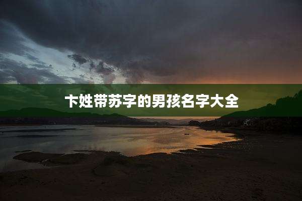 卞姓带苏字的男孩名字大全