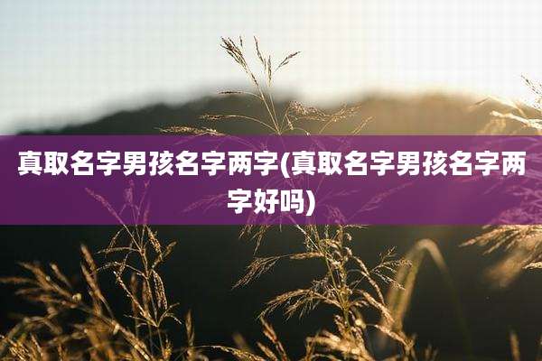 真取名字男孩名字两字(真取名字男孩名字两字好吗)