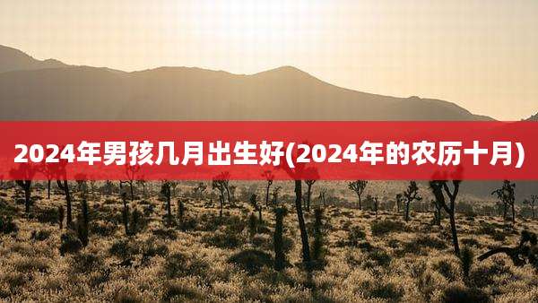 2024年男孩几月出生好(2024年的农历十月)