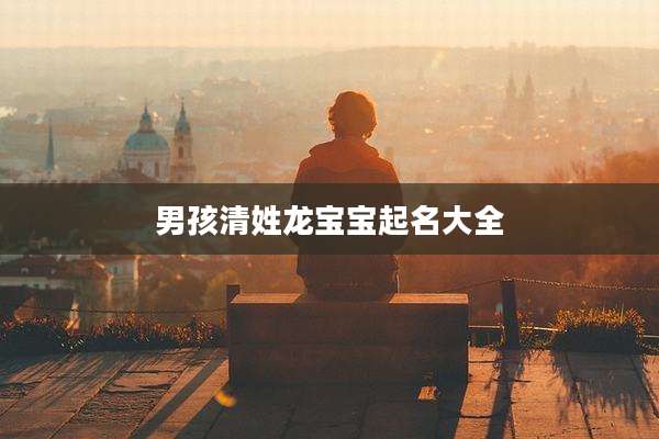 男孩清姓龙宝宝起名大全