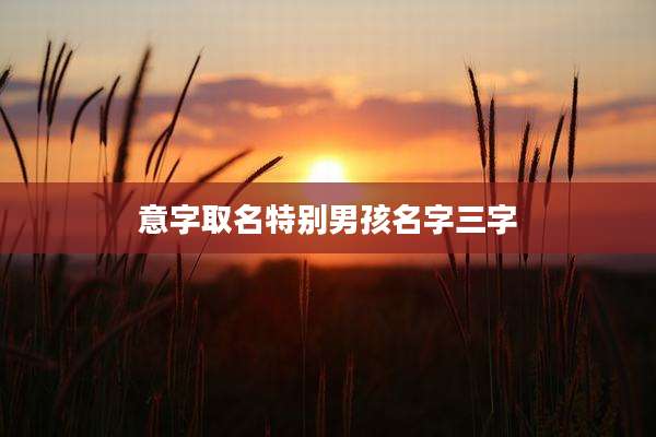 意字取名特别男孩名字三字