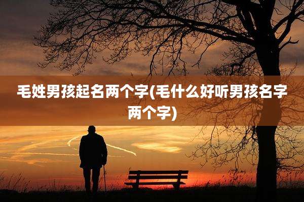 毛姓男孩起名两个字(毛什么好听男孩名字两个字)