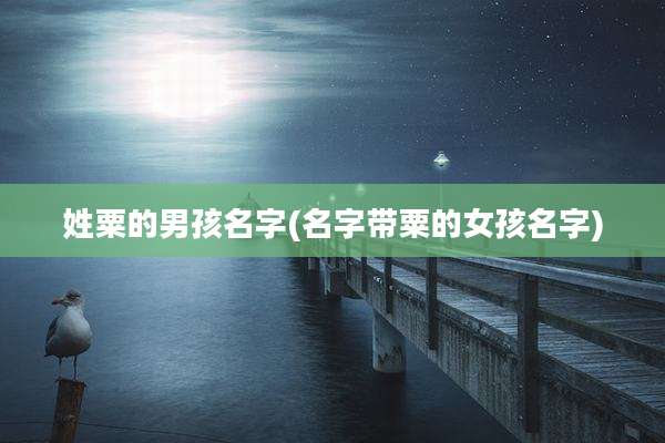 姓粟的男孩名字(名字带粟的女孩名字)