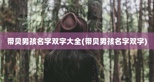 带贝男孩名字双字大全(带贝男孩名字双字)