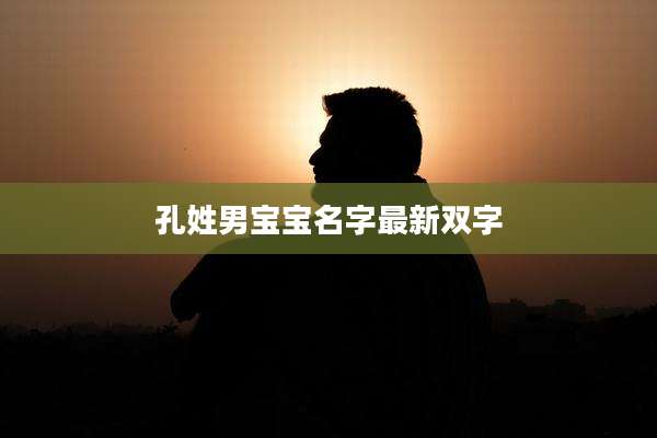 孔姓男宝宝名字最新双字