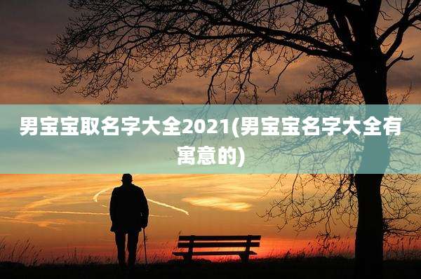 男宝宝取名字大全2021(男宝宝名字大全有寓意的)