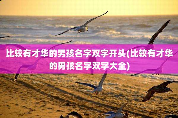 比较有才华的男孩名字双字开头(比较有才华的男孩名字双字大全)