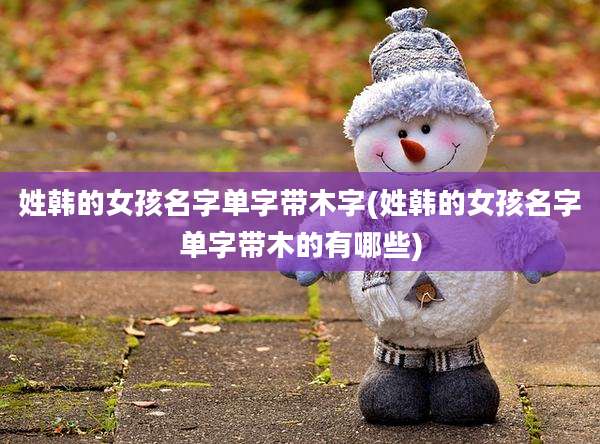 姓韩的女孩名字单字带木字(姓韩的女孩名字单字带木的有哪些)