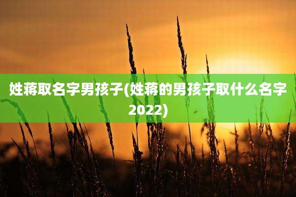 姓蒋取名字男孩子(姓蒋的男孩子取什么名字2022)