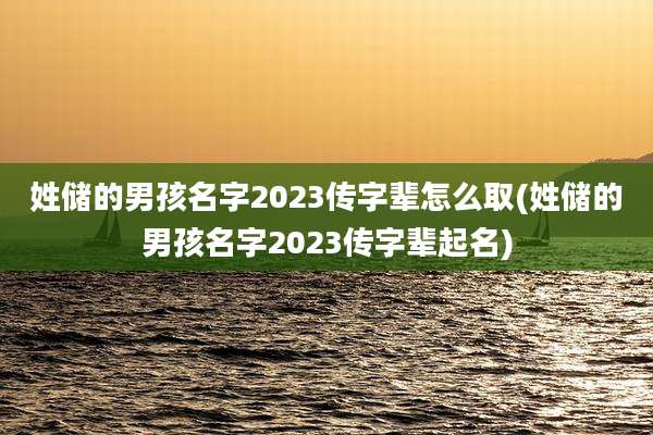姓储的男孩名字2023传字辈怎么取(姓储的男孩名字2023传字辈起名)