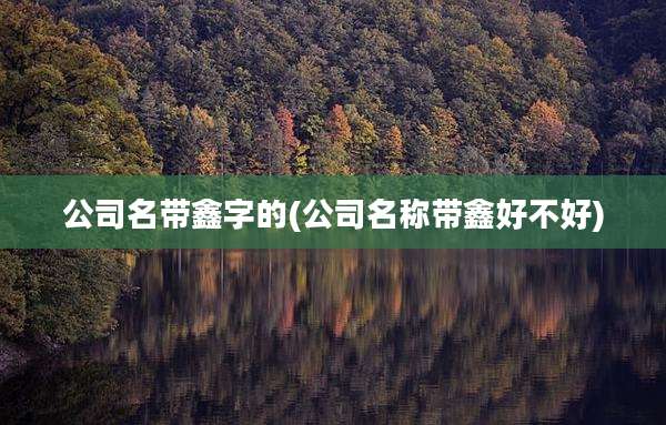 公司名带鑫字的(公司名称带鑫好不好)