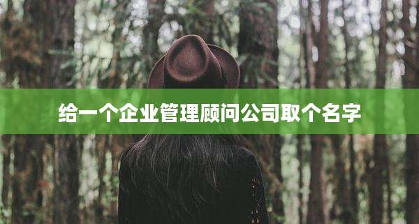 给一个企业管理顾问公司取个名字
