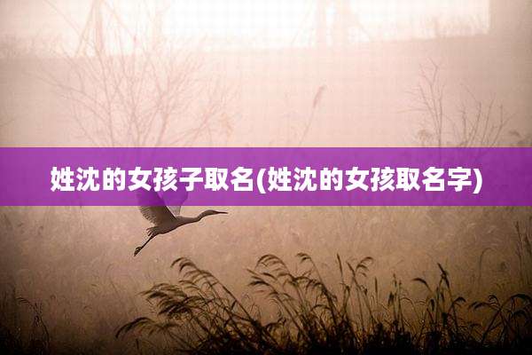 姓沈的女孩子取名(姓沈的女孩取名字)