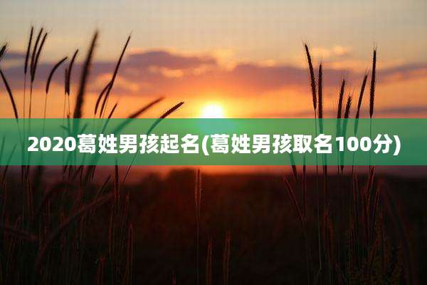 2020葛姓男孩起名(葛姓男孩取名100分)