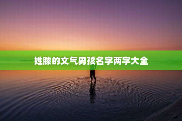 姓滕的文气男孩名字两字大全