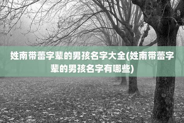 姓南带蕾字辈的男孩名字大全(姓南带蕾字辈的男孩名字有哪些)