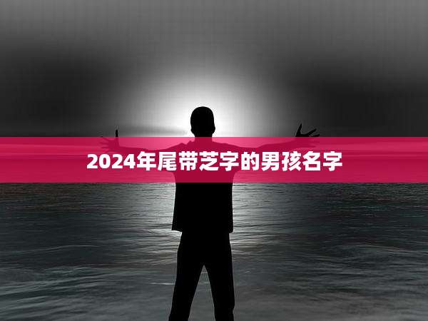2024年尾带芝字的男孩名字