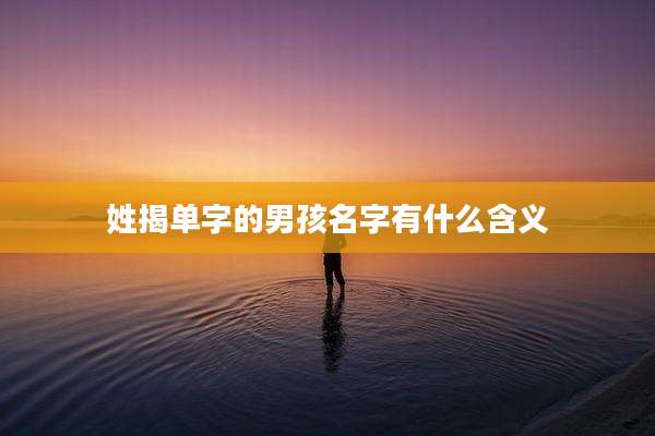 姓揭单字的男孩名字有什么含义