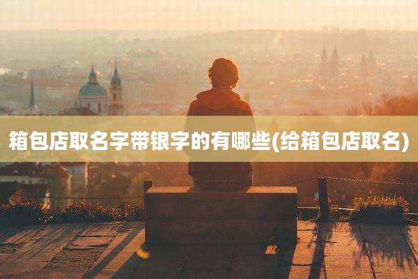箱包店取名字带银字的有哪些(给箱包店取名)