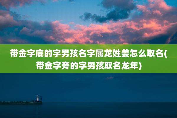 带金字底的字男孩名字属龙姓姜怎么取名(带金字旁的字男孩取名龙年)