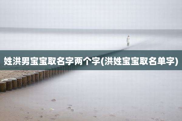 姓洪男宝宝取名字两个字(洪姓宝宝取名单字)