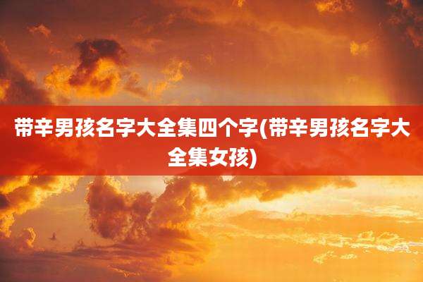 带辛男孩名字大全集四个字(带辛男孩名字大全集女孩)