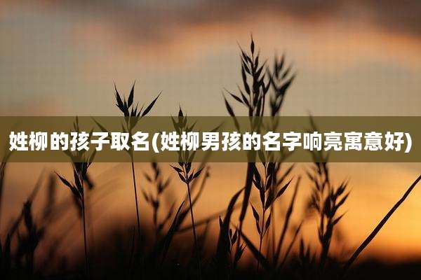 姓柳的孩子取名(姓柳男孩的名字响亮寓意好)