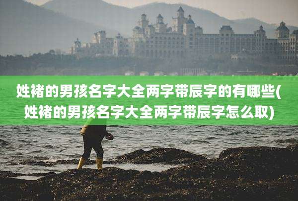 姓褚的男孩名字大全两字带辰字的有哪些(姓褚的男孩名字大全两字带辰字怎么取)