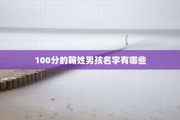100分的鞠姓男孩名字有哪些