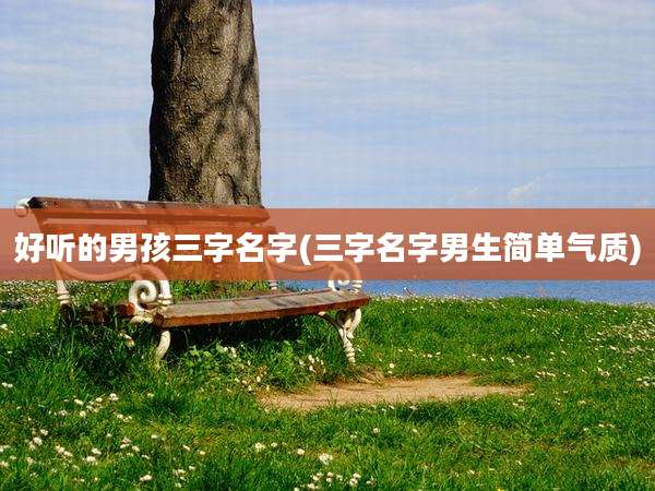 好听的男孩三字名字(三字名字男生简单气质)