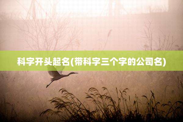 科字开头起名(带科字三个字的公司名)