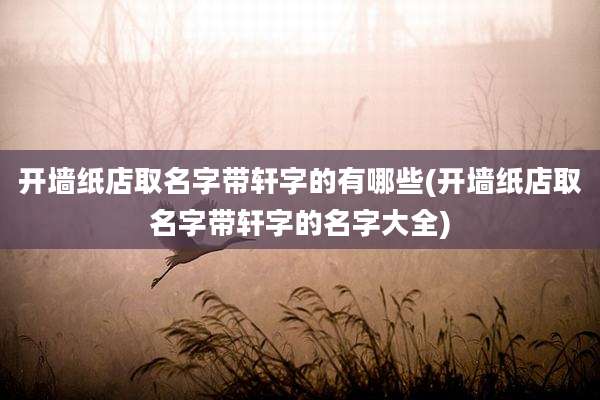 开墙纸店取名字带轩字的有哪些(开墙纸店取名字带轩字的名字大全)