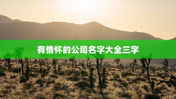 有情怀的公司名字大全三字